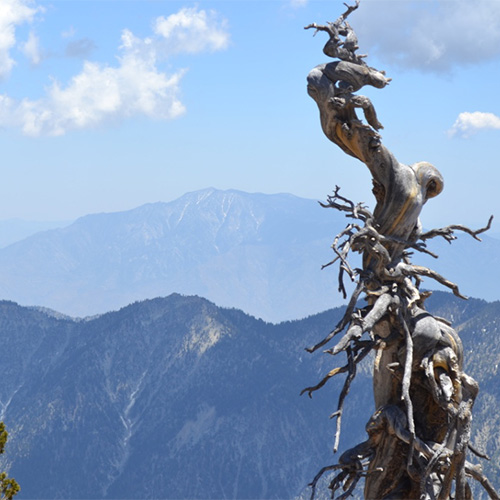 San Jacinto from San Bernardino