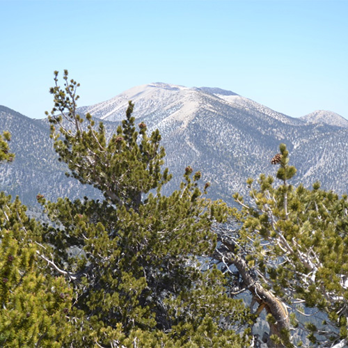 San Gorgonio from San Bernardino