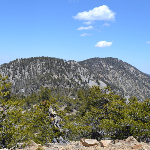 San Bernardino East Peak