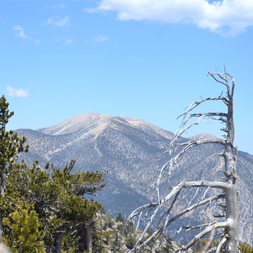 San Gorgonio