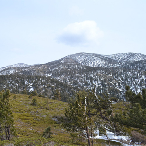 San Bernardino snow