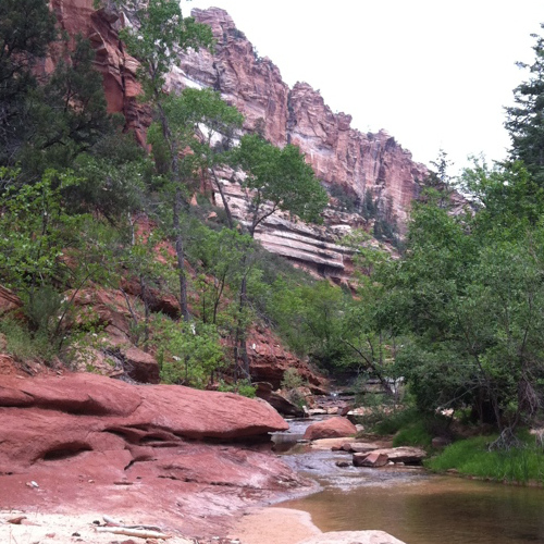 Canyon along creek