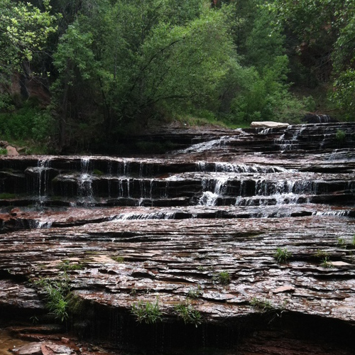 Trail in the creek