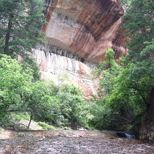 Stone creekbed