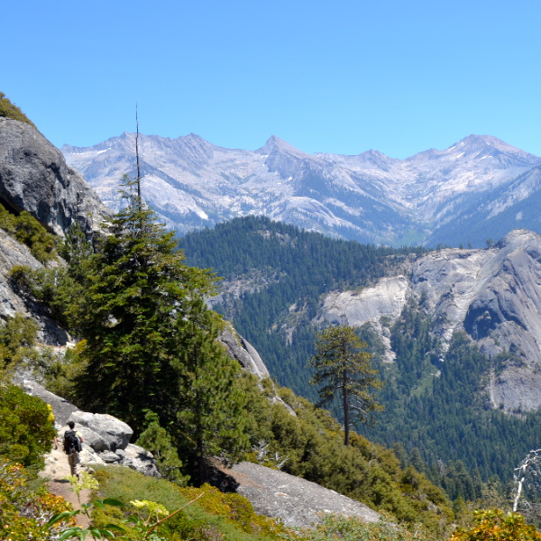 High Sierra Trail and Great Western Divide