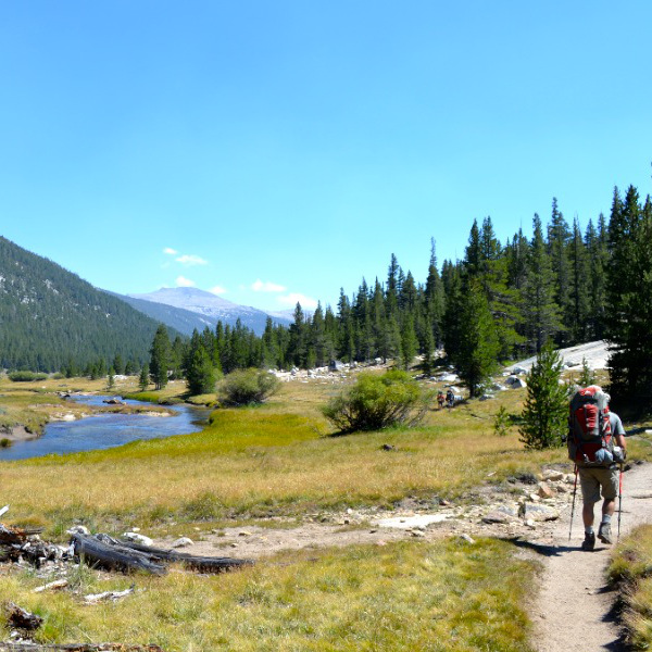 Lyell Canyon