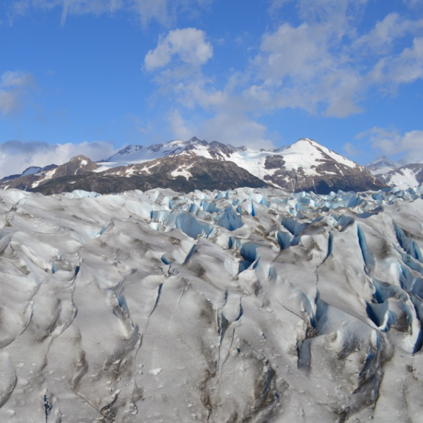 Grey Glacier