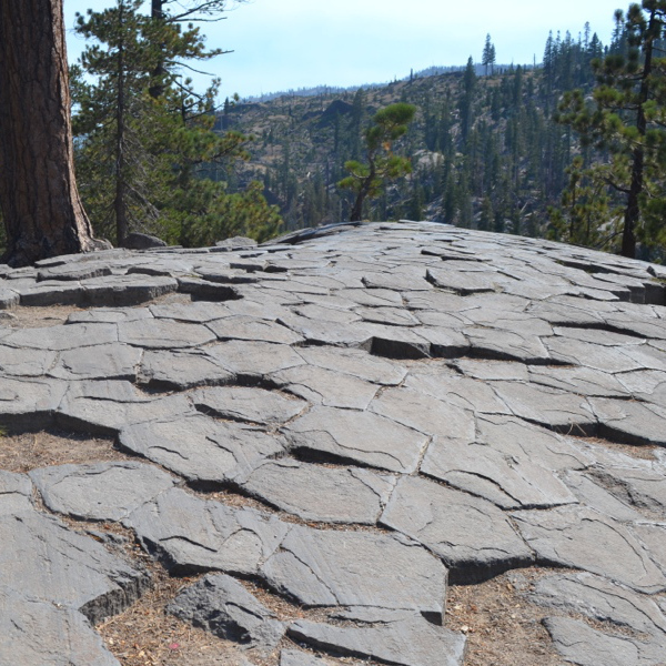 Top of Devil's Postpile