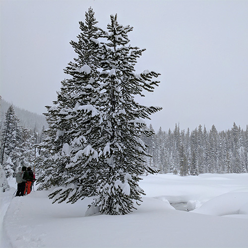 Bench Lake 2