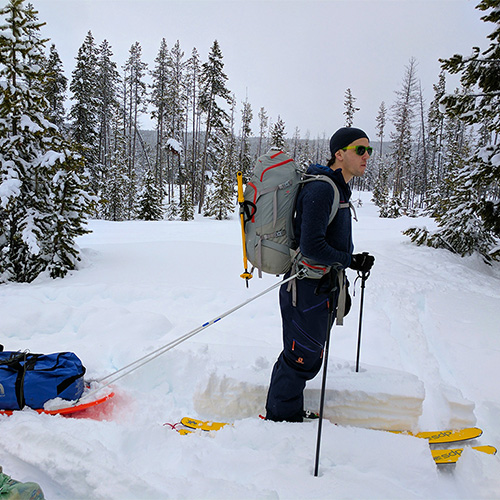 Pulk sled