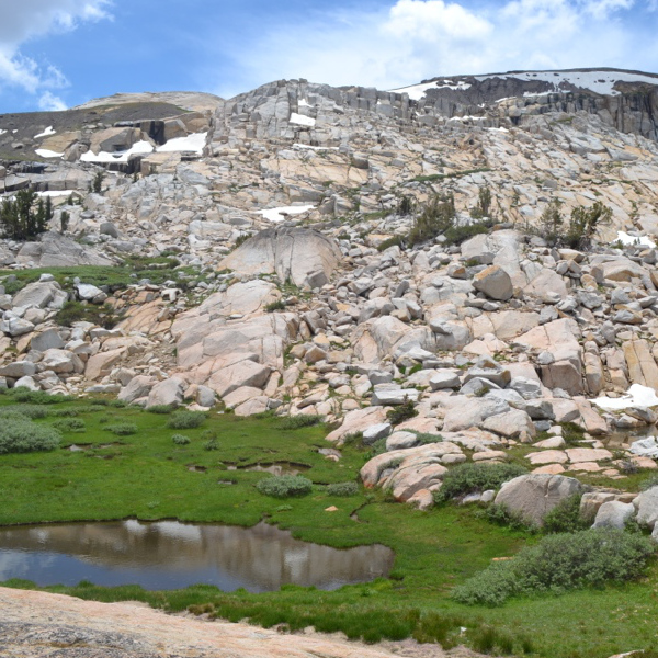 Meadow above Lewis Lake