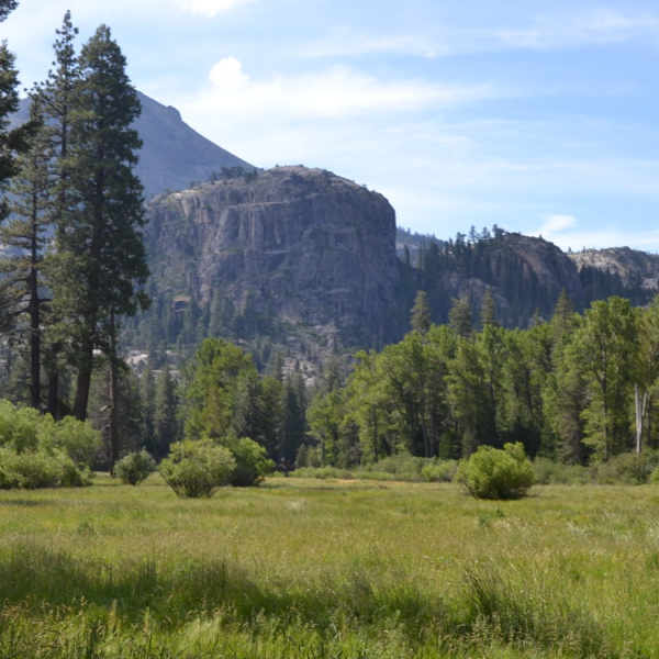 Kennedy Meadows