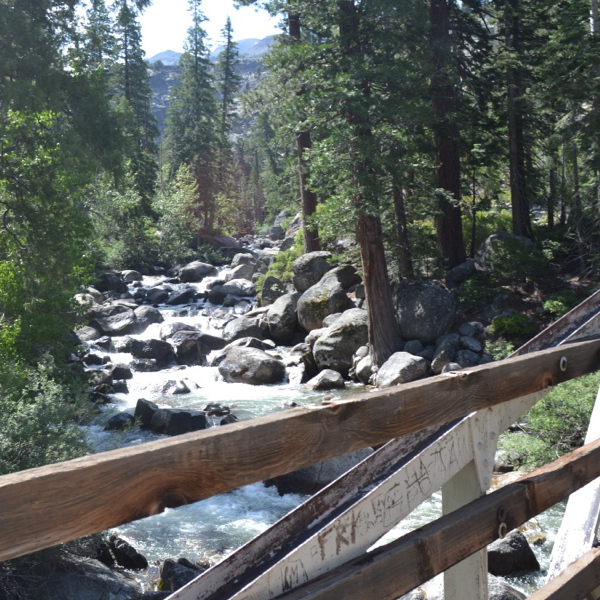 Bridge over Stanislaus River