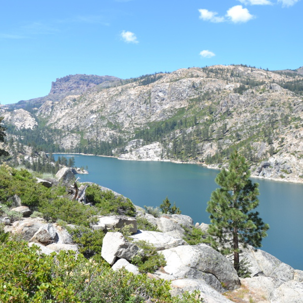 Relief Reservoir