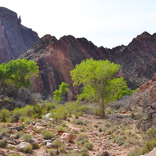 Phantom Ranch