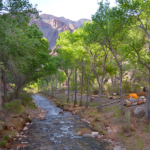 Bright Angel Campground