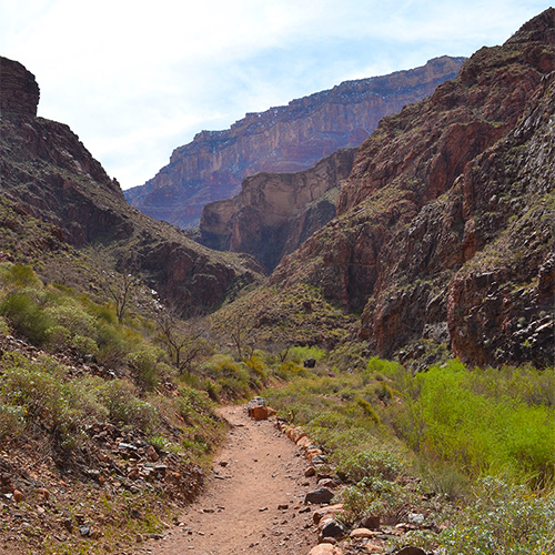 Bright Angel Trail