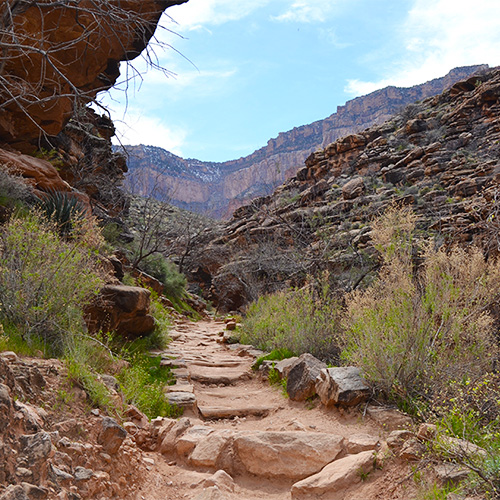 Bright Angel Trail