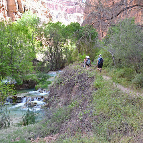 Havasu Creek