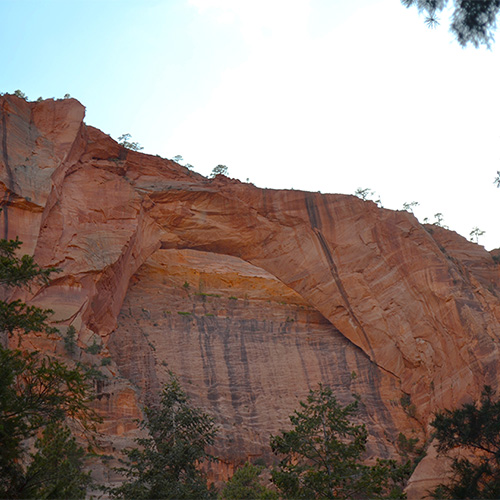 Kolob Arch zoon