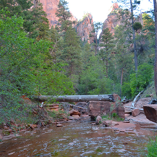 Kolob Arch hike