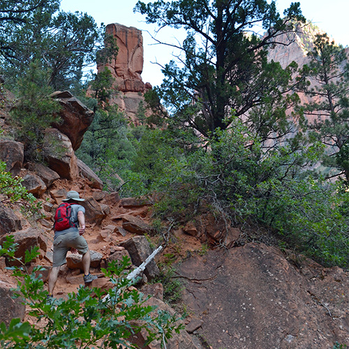 Kolob Arch hike