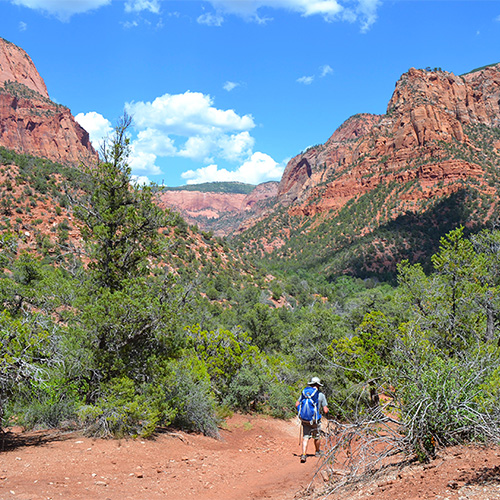 Trail veering east