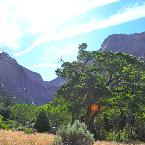 Kolob Canyon morning