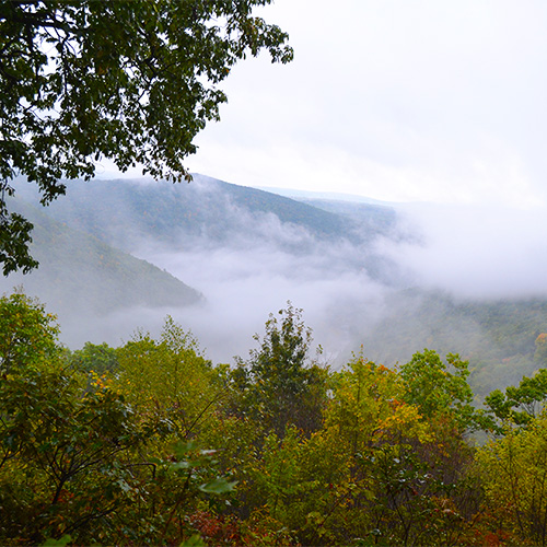 Gorge vista