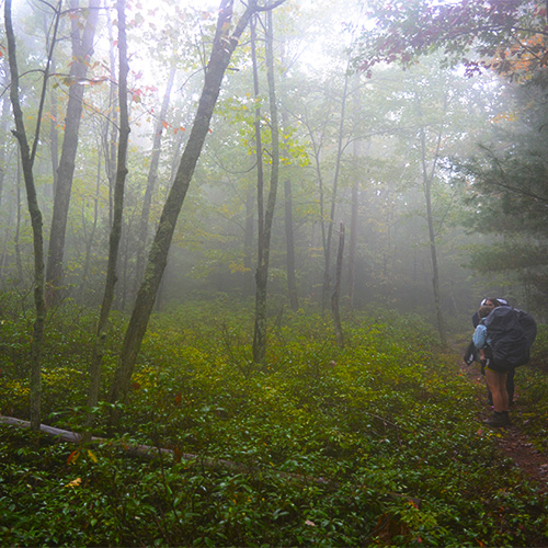Foggy hike