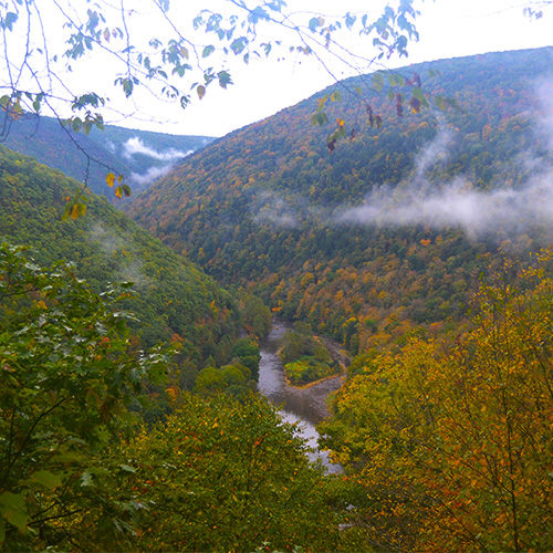Gorge vista