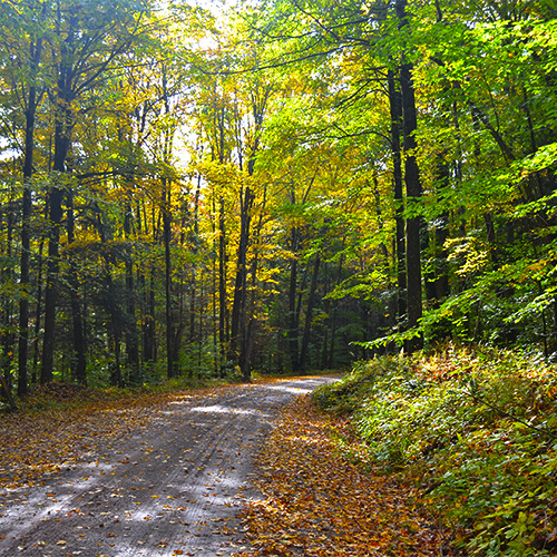 Road