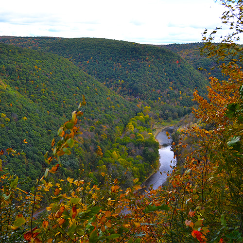 Gorge vista