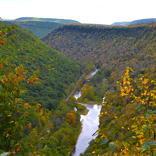 Gorge vista