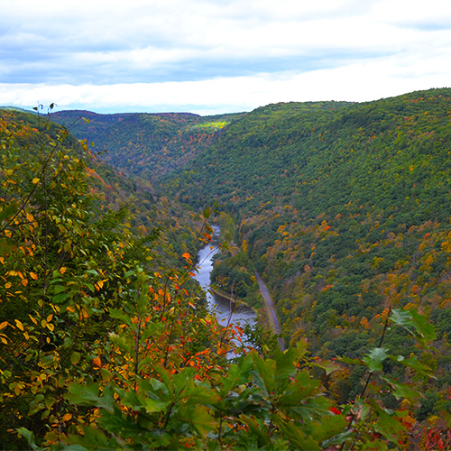 Gorge vista