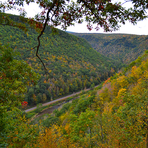 Gorge vista