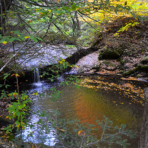 Waterfall