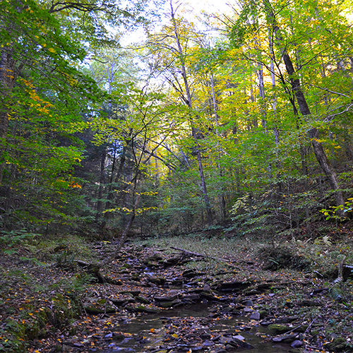 Creek
