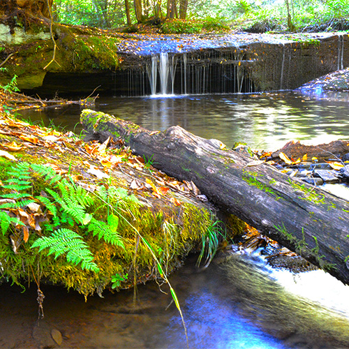 Waterfall