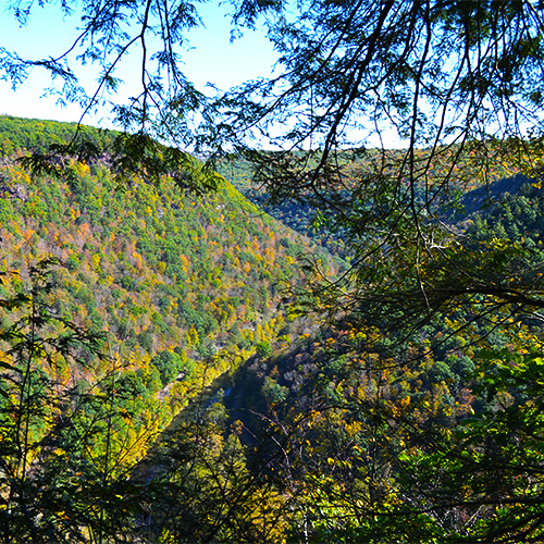 Gorge vista
