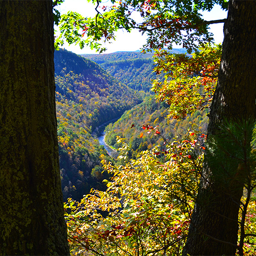 Gorge vista