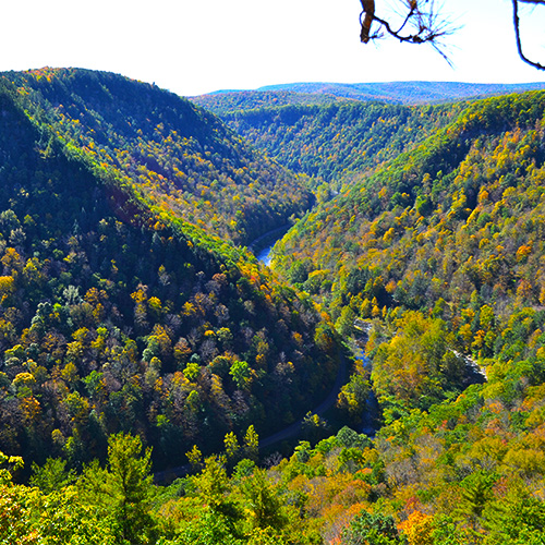 Gorge vista