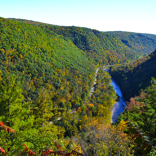Gorge