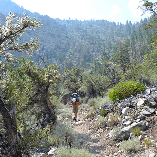 Shepherd Pass trail