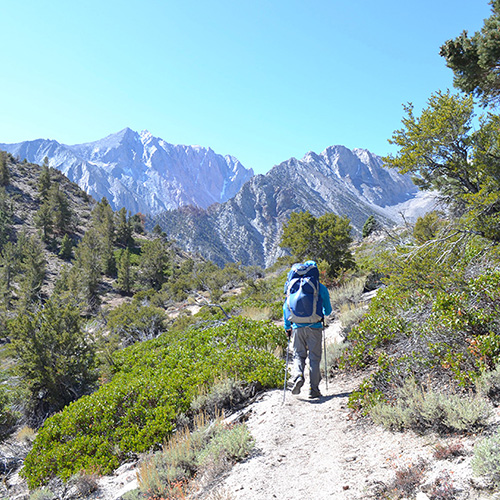 Shepherd Pass trail