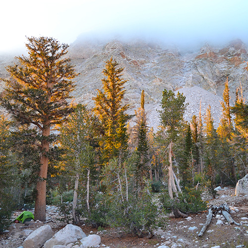 Shepherd Pass Anvil Camp