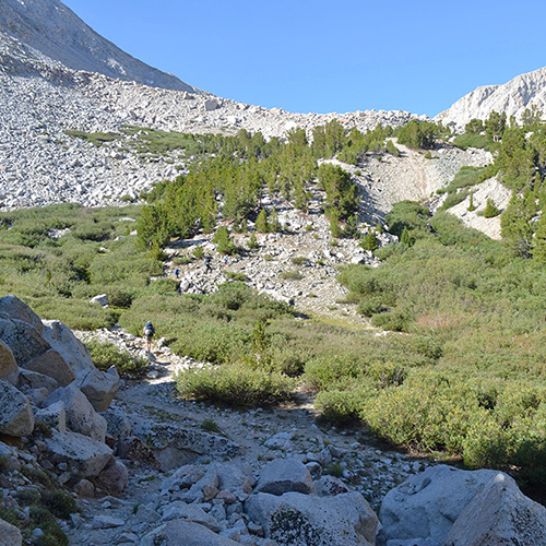 Shepherd Pass Trail