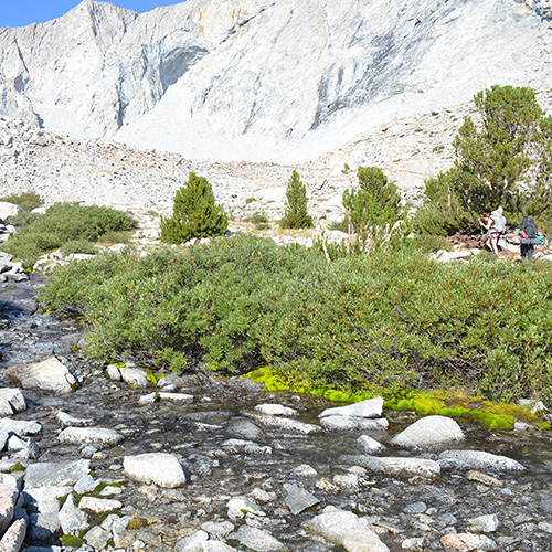 Shepherd Pass Trail