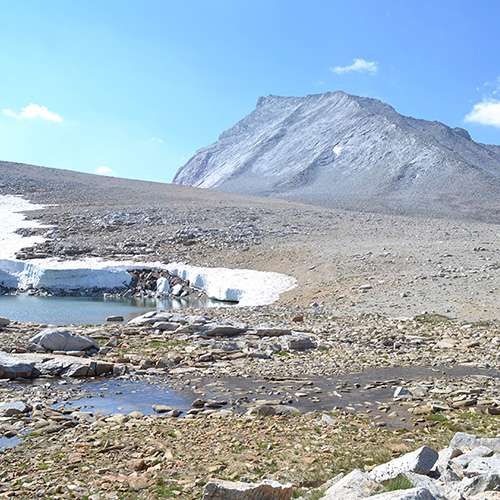 Shepherd Pass Trail