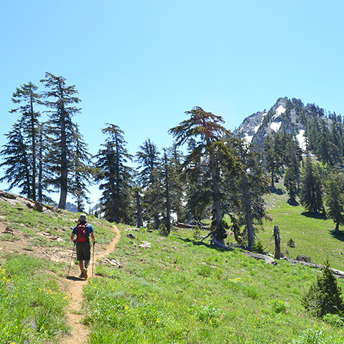 Four Lakes Loop